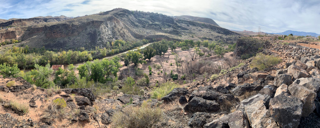 View looking down from the overlook that shows the trees that need to be removed - Confluence Park