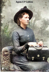 Agnes Elizabeth Perkes Calkins