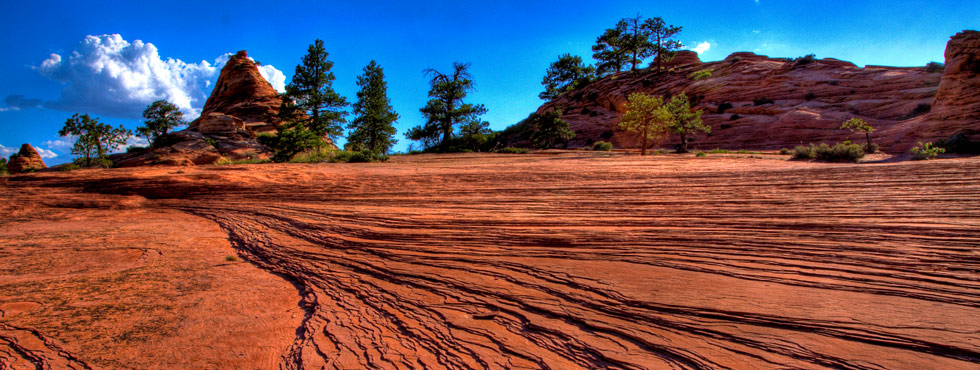 Look Up Number >> Washington County of Utah | County News at your fingertips Look Up Number >> Washington County of Utah | County News at your fingertips