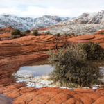 Snow Canyon Pools