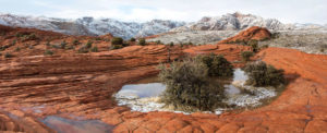 Snow Canyon Pools