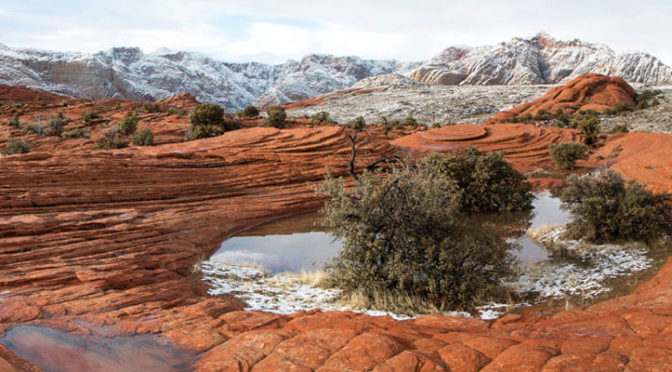 Snow Canyon Pools