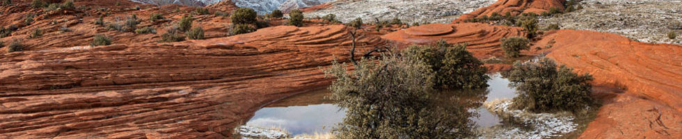 Snow Canyon Pools