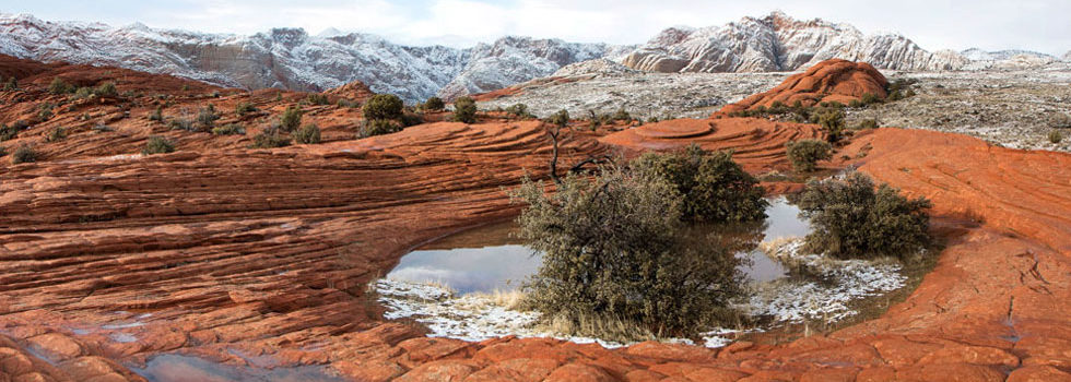 Snow Canyon Pools