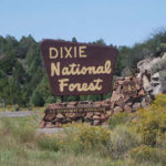 Dixie National Forest sign