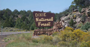 Dixie National Forest sign