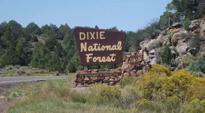 Dixie National Forest sign