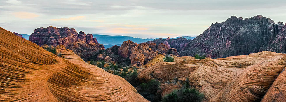 Petrified Dunes