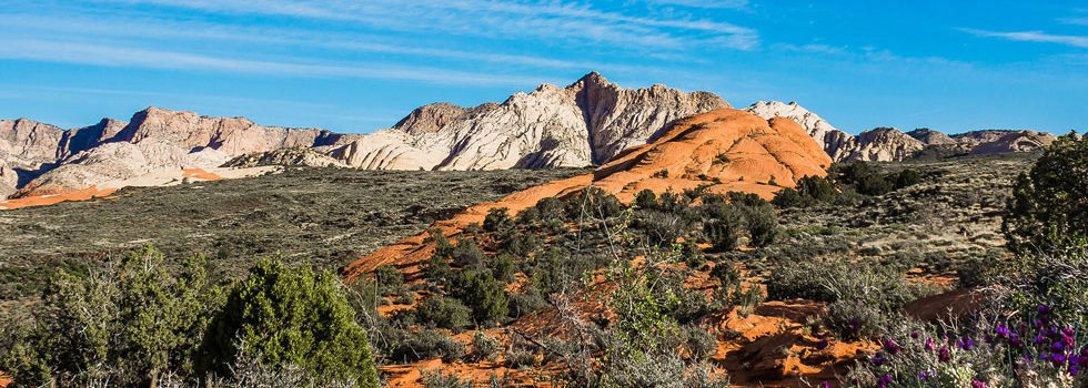 Snow Canyon