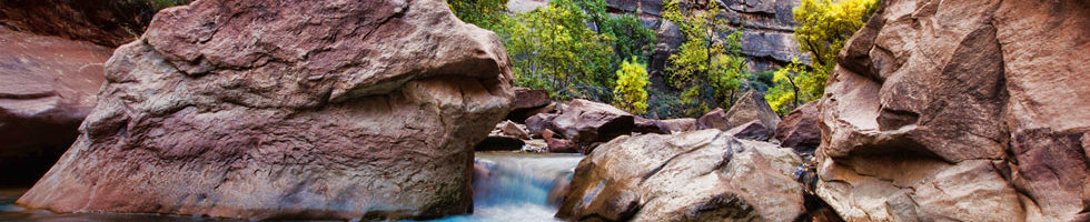 Zion National Park